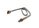BOSCH Lambdasonde 0 258 006 835