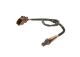 BOSCH Lambdasonde 0 258 007 234