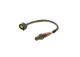 BOSCH Lambdasonde 0 258 010 117