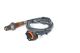 BOSCH Lambdasonde 0 258 010 207