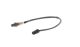 BOSCH Lambdasonde 0 258 010 428
