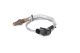BOSCH Lambdasonde 0 258 017 307