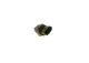 BOSCH Sensor, Kraftstoffdruck 0 281 007 893