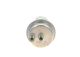 BOSCH Druckspeicher, Kraftstoffdruck 0 438 170 019