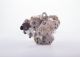 BOSCH Hochdruckpumpe 0 445 010 033
