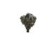 BOSCH Hochdruckpumpe 0 445 010 452