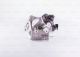 BOSCH Hochdruckpumpe 0 445 010 565
