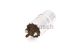 BOSCH Kraftstoffpumpe 0 580 463 999