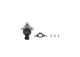 BOSCH Regelventil, Kraftstoffmenge (Common-Rail-System) 1 465 ZS0 006