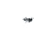BOSCH Regelventil, Kraftstoffmenge (Common-Rail-System) 1 465 ZS0 021