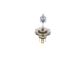 BOSCH Glühlampe, Fernscheinwerfer 1 987 301 152