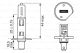 BOSCH Glühlampe, Fernscheinwerfer 1 987 301 088