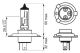 BOSCH Glühlampe, Fernscheinwerfer 1 987 301 440