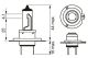 BOSCH Glühlampe, Fernscheinwerfer 1 987 301 411