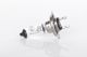 BOSCH Glühlampe, Fernscheinwerfer 1 987 302 079