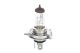 BOSCH Glühlampe, Fernscheinwerfer 1 987 302 441