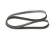 BOSCH Keilrippenriemen 1 987 945 505