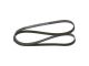 BOSCH Keilrippenriemen 1 987 945 702
