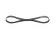 BOSCH Keilrippenriemen 1 987 946 117