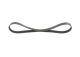 BOSCH Keilrippenriemen 1 987 946 154