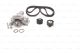 BOSCH Wasserpumpe + Zahnriemensatz 1 987 946 442