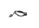 BOSCH Wasserpumpe + Zahnriemensatz 1 987 946 467