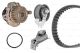 BOSCH Wasserpumpe + Zahnriemensatz 1 987 946 499