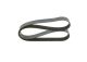 BOSCH Keilrippenriemen 1 987 947 046