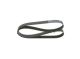 BOSCH Keilrippenriemen 1 987 947 054