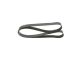 BOSCH Keilrippenriemen 1 987 947 055