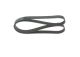BOSCH Keilrippenriemen 1 987 947 056