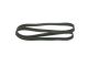 BOSCH Keilrippenriemen 1 987 947 085