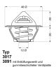 BorgWarner (Wahler) Thermostat, Kühlmittel 3017.87D2