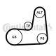 CONTINENTAL CTAM Keilrippenriemensatz 5PK1135K2