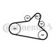 CONTINENTAL CTAM Keilrippenriemensatz 6PK1020 EXTRA K1