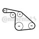CONTINENTAL CTAM Keilrippenriemensatz 6PK1038K1