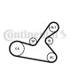 CONTINENTAL CTAM Keilrippenriemensatz 6PK1125K1
