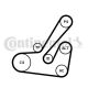 CONTINENTAL CTAM Keilrippenriemensatz 6PK1145K2