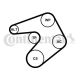 CONTINENTAL CTAM Keilrippenriemensatz 6PK1244K1
