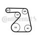 CONTINENTAL CTAM Keilrippenriemensatz 6PK1217K2