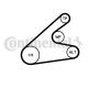 CONTINENTAL CTAM Keilrippenriemensatz 6PK1306K2