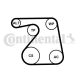 CONTINENTAL CTAM Keilrippenriemensatz 6PK1360K1