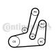 CONTINENTAL CTAM Keilrippenriemensatz 6PK1390K1
