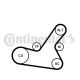 CONTINENTAL CTAM Keilrippenriemensatz 6PK1564K2