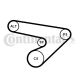 CONTINENTAL CTAM Keilrippenriemensatz 6PK1725K1