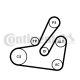 CONTINENTAL CTAM Keilrippenriemensatz 6PK1795K2
