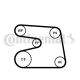 CONTINENTAL CTAM Wasserpumpe + Keilrippenriemensatz 6PK1873WP2