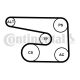 CONTINENTAL CTAM Keilrippenriemensatz 6PK1873K5