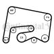 CONTINENTAL CTAM Keilrippenriemensatz 6PK2155K1