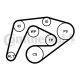 CONTINENTAL CTAM Keilrippenriemensatz 6PK2260K3